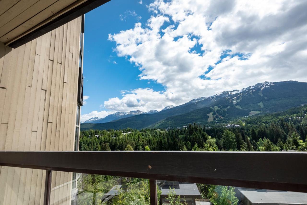Apartamento The Ironwood On Blueberry Hill *